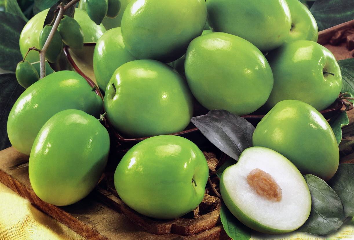 台湾青枣怎么处理,大青枣黑点病的防治