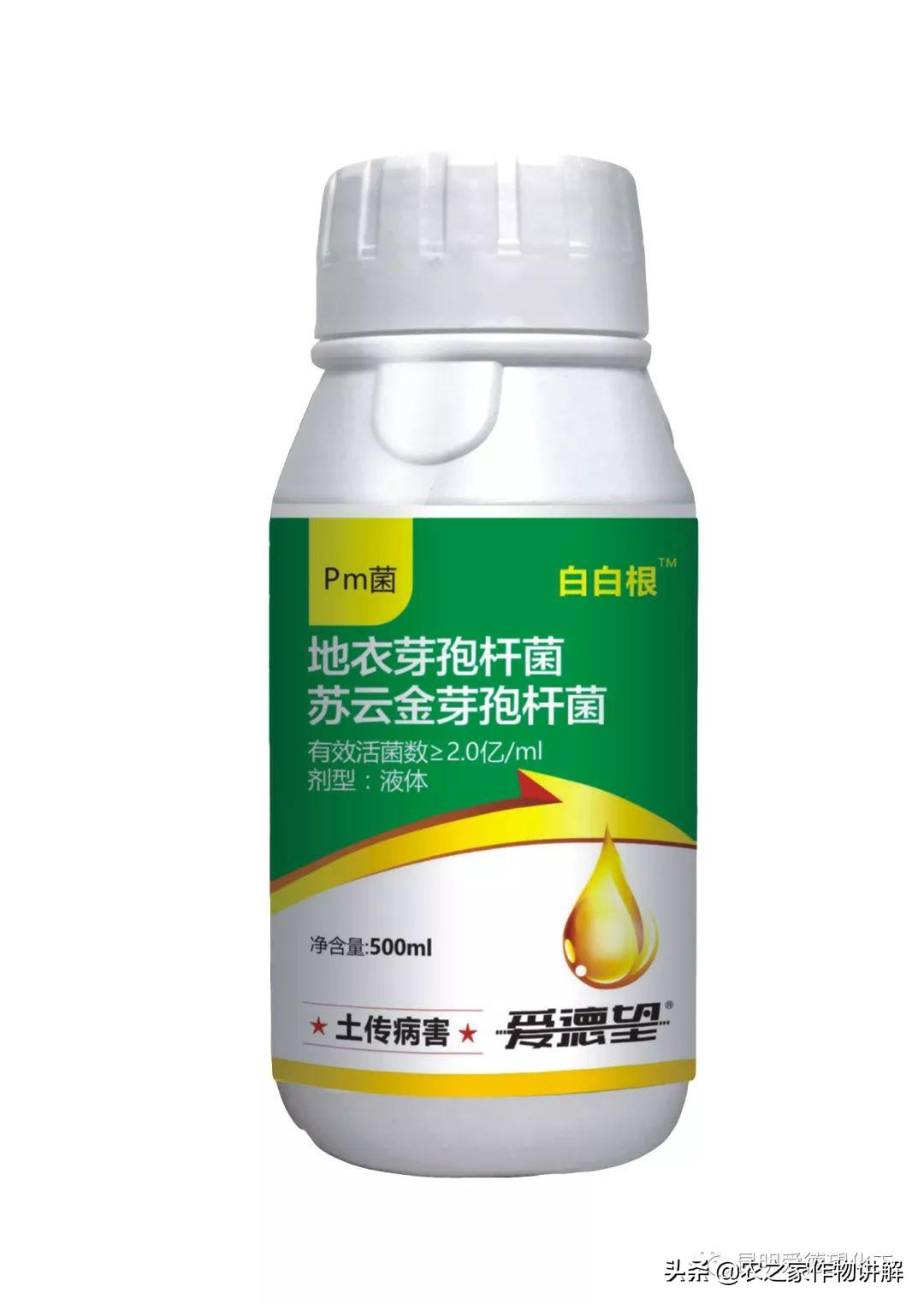 防治果树根腐病的特效药,果树根腐克星怎么使用