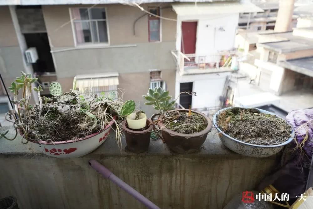 发烧37.9度，我从武汉回家过年，被爸妈关了一个月