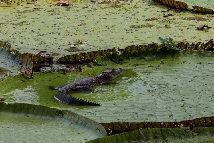 南美之旅总结篇,南美之行结束感悟