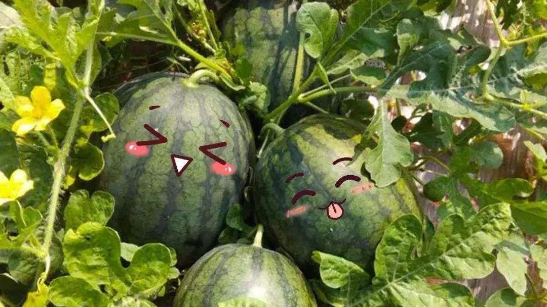 隐藏在英德一座微派风格的酒店—一幅灵动与纸上的古邑国画