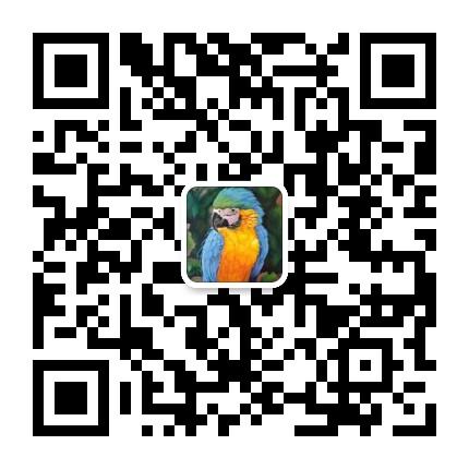 意大利艺术留学高中,意大利艺术留学作品集培训