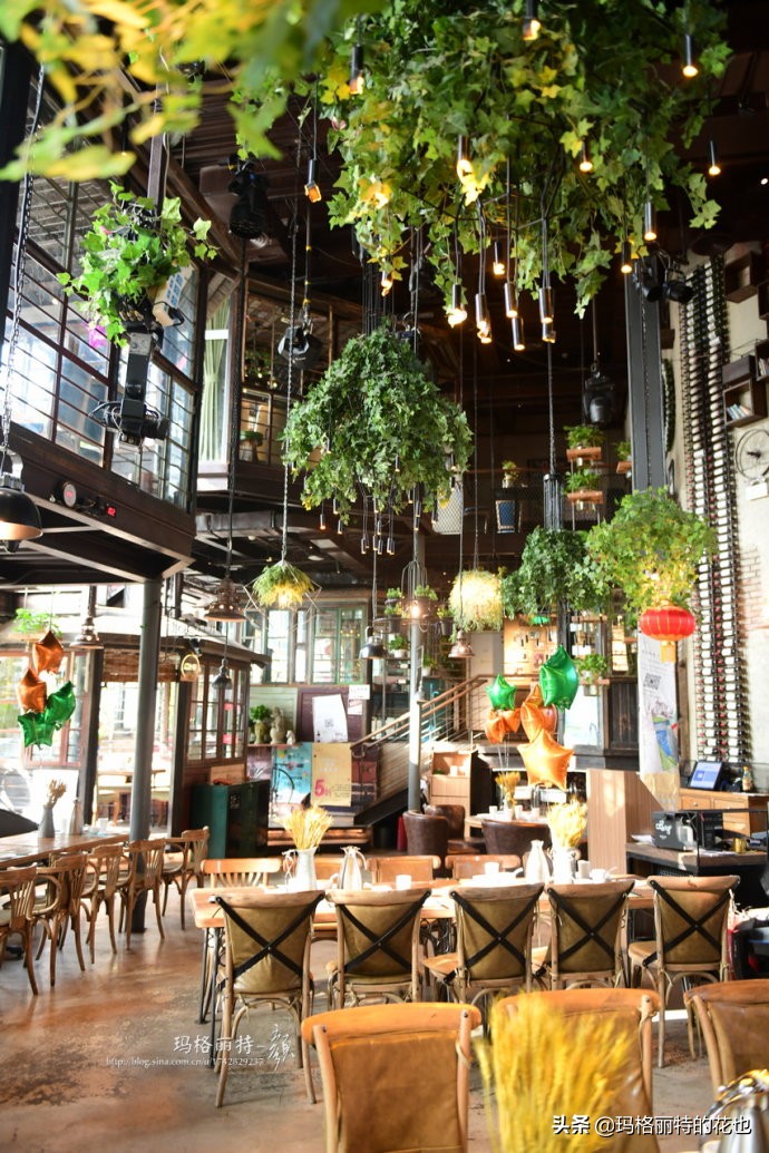网红餐厅“胡桃里”的绿植布置|行摄