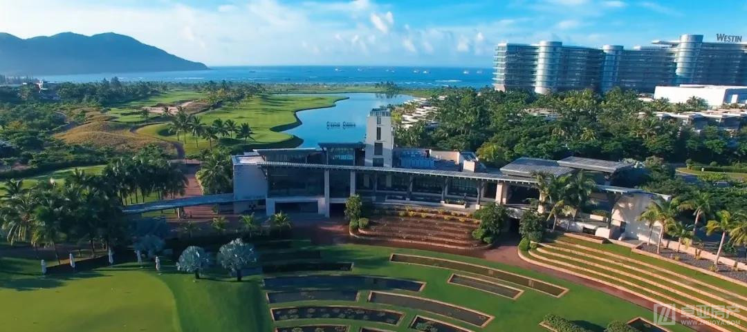 全球高尔夫,全球高尔夫挥杆