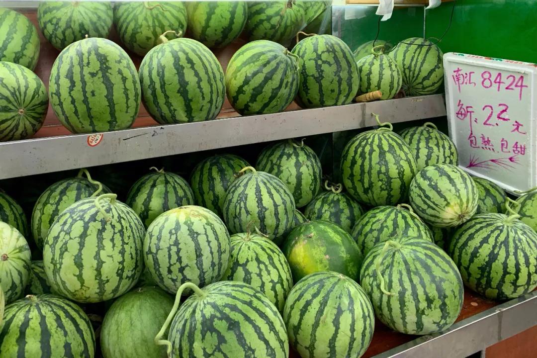 8424西瓜的技术秘密,8424西瓜试验了多长时间