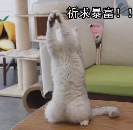 康奈尔大学全额奖学金申请条件,康奈尔奖学金一般多少