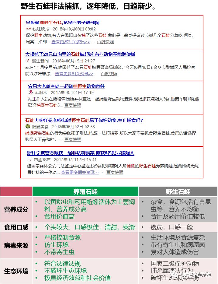 云南石蛙养殖视频全过程,石蛙养殖技术规范最新版