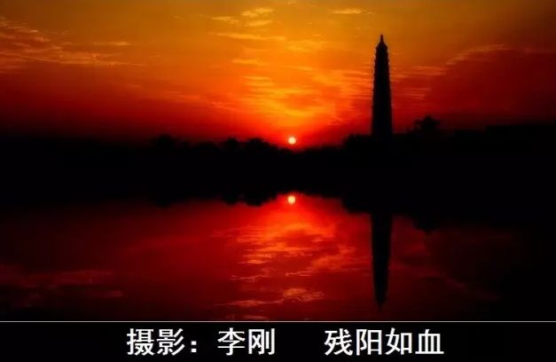 我叫汾阳，这是我2020年最新简历，请多关照