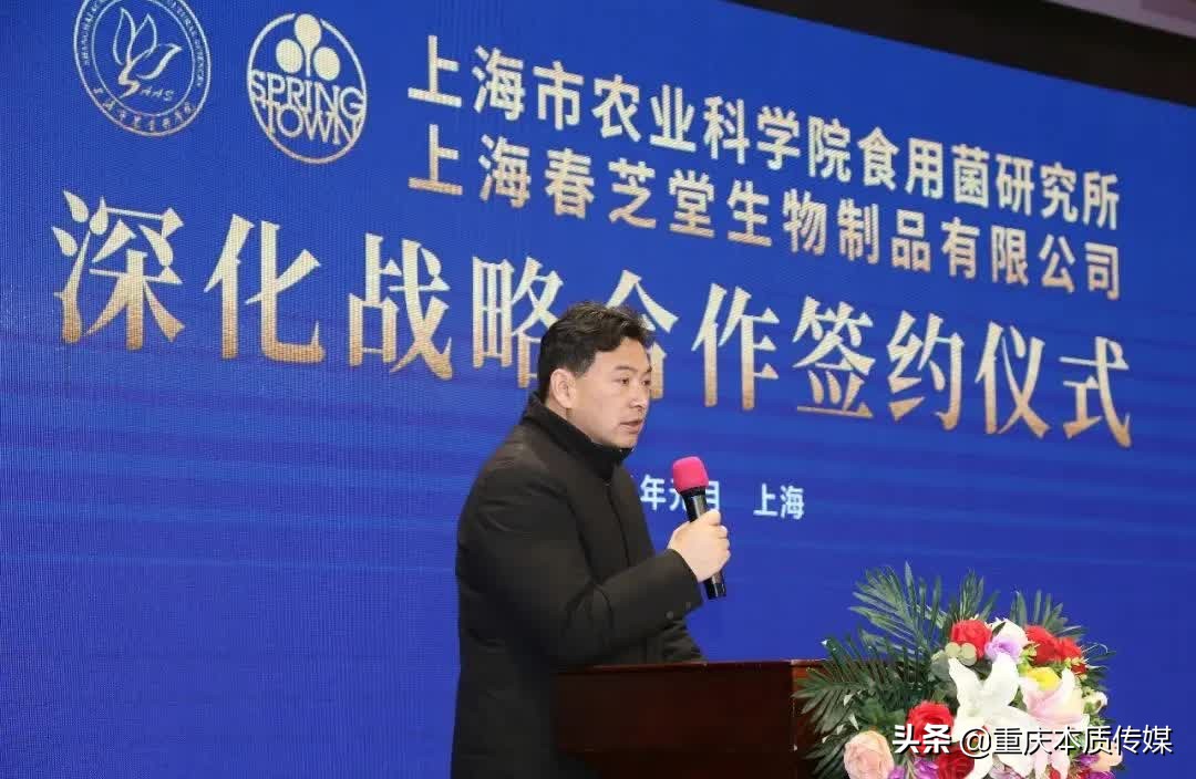 上海春芝堂食用菌,上海春芝堂食用菌最新新闻