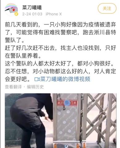 外卖龙虾段子搞笑,外卖的虾是不是都是冻虾