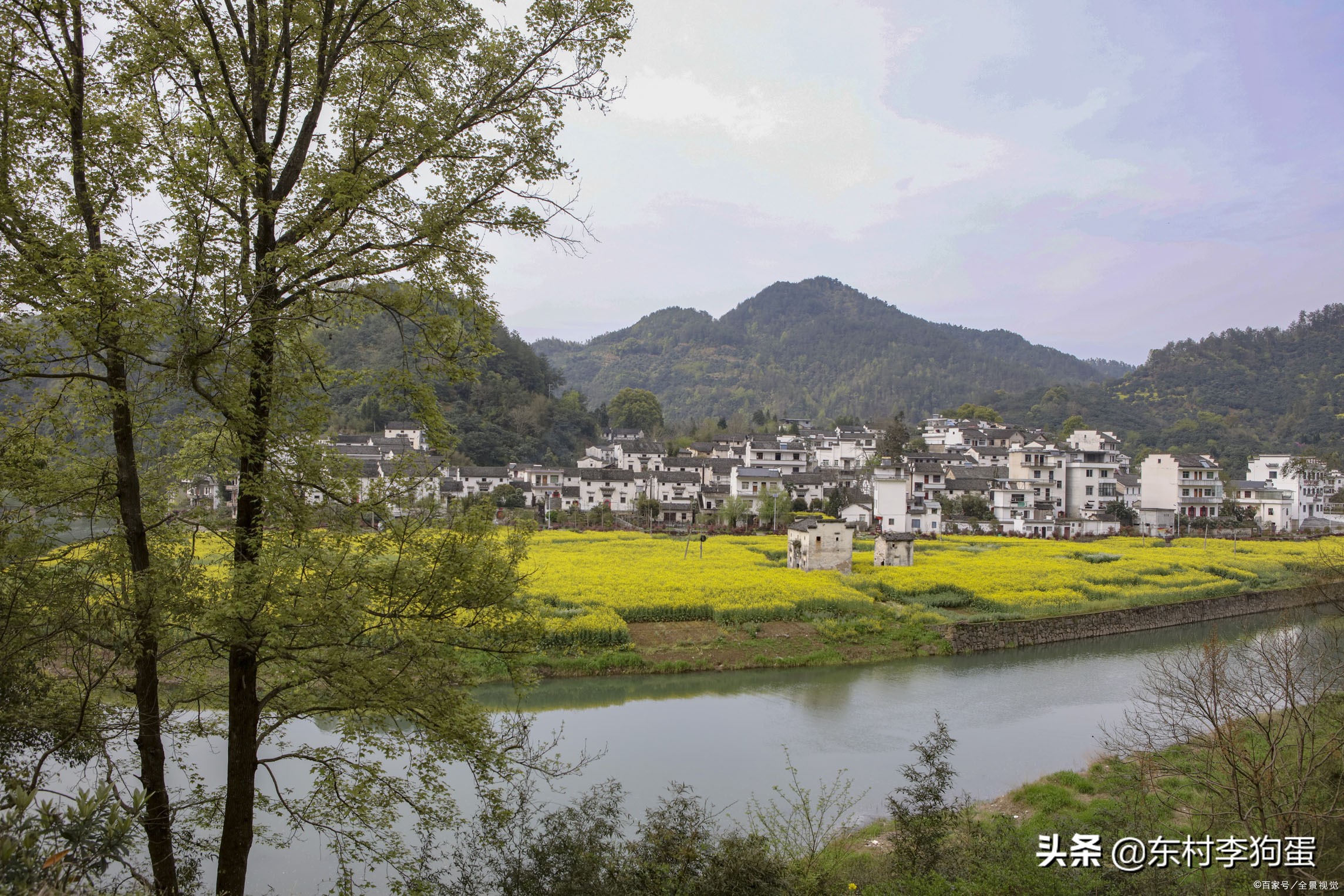 现在养殖什么最赚钱销路最好,农村最赚钱的五个养殖项目是哪些