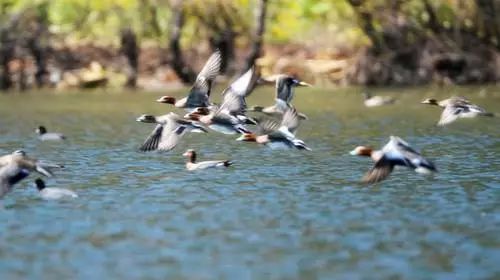 每个人的旅行清单，都有个云南，或迟或早，我们都将到达那方天地