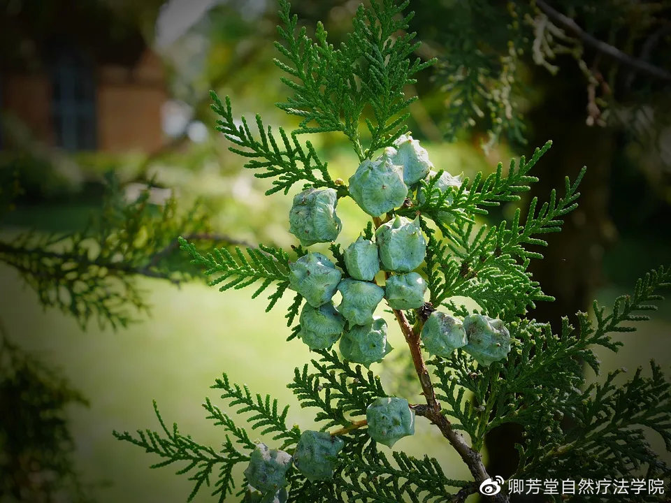 教师节送老师什么礼物比较好初中,快到教师节了该给老师做什么礼物