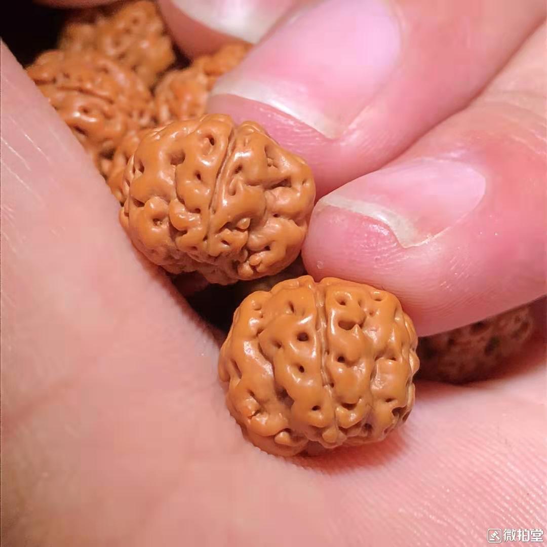 小金刚纹路有小尖,最受欢迎的小金刚纹路