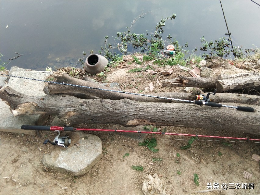 水库怎么用雷蛙打黑鱼,打黑鱼用什么雷蛙最佳