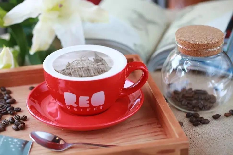 青岛胶南红树林旅游景点,西海岸红树林度假世界