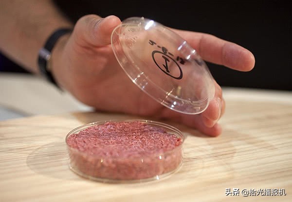 人造肉在中国市场,人造肉开售视频