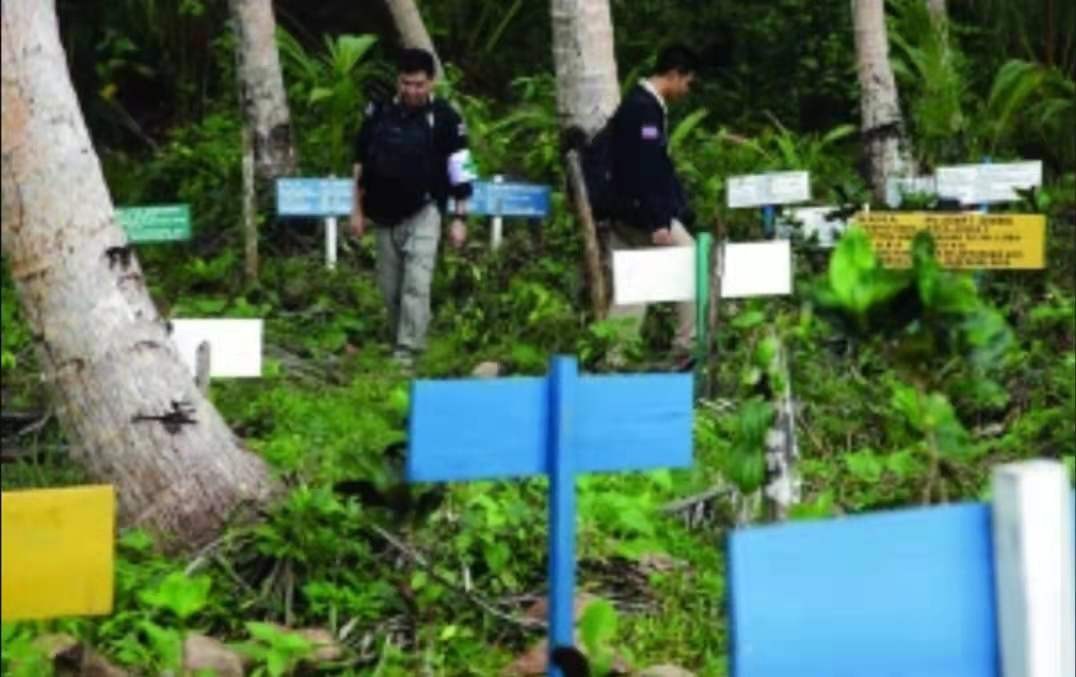 无数的血汗工厂,“*灯区红**”合法,泰国下一步该何去何从?