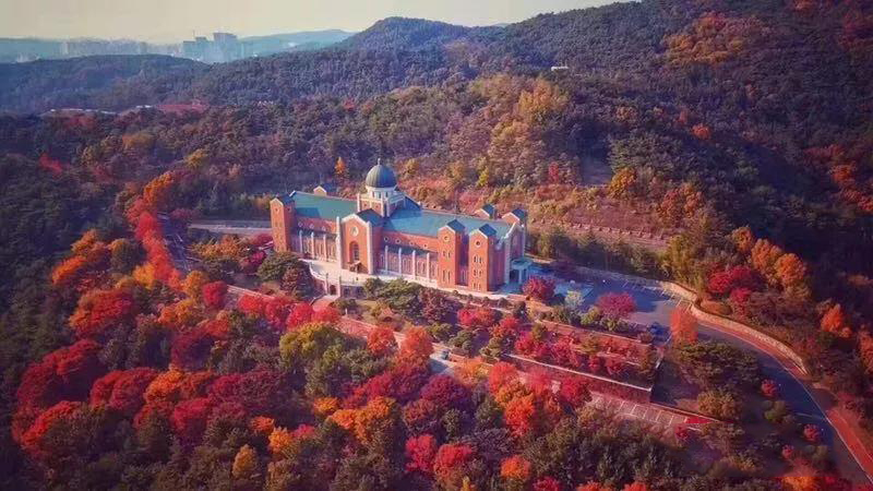 韩国启明大学,启明大学博士