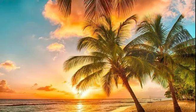 下川岛小帕劳,广东小帕劳