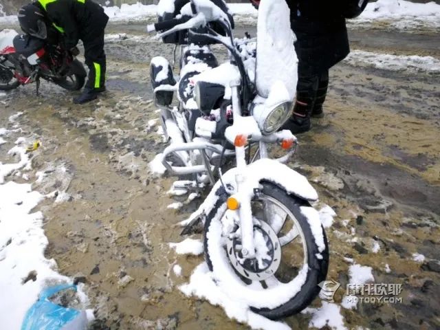 不吹不黑，谈谈多款国内在售的万元级太子车