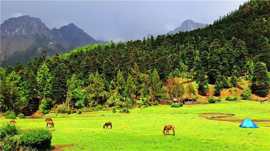 宜宾川藏线,宜宾自驾俱乐部参团西藏游