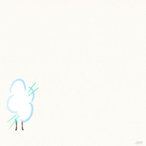 多伦多国际电影节必看的11部电影,多伦多国际电影节电影排行