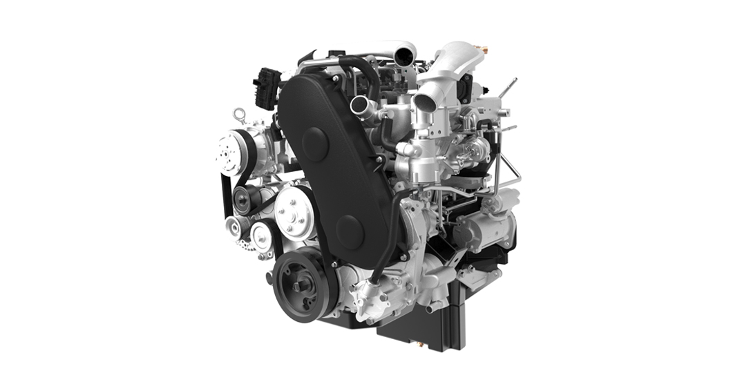 回归大自然的猎豹,回归越野