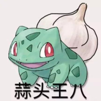 澳洲袋鼠变异动物,变异鼠皮卡丘