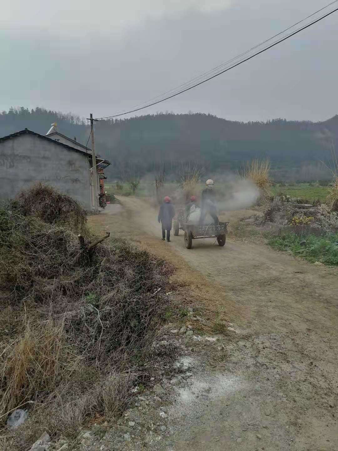 现在疫情大家都在家干嘛呢,疫情期间你们都在家干嘛