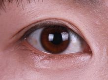 蕾丝双眼皮贴教程,双眼皮贴化妆教程