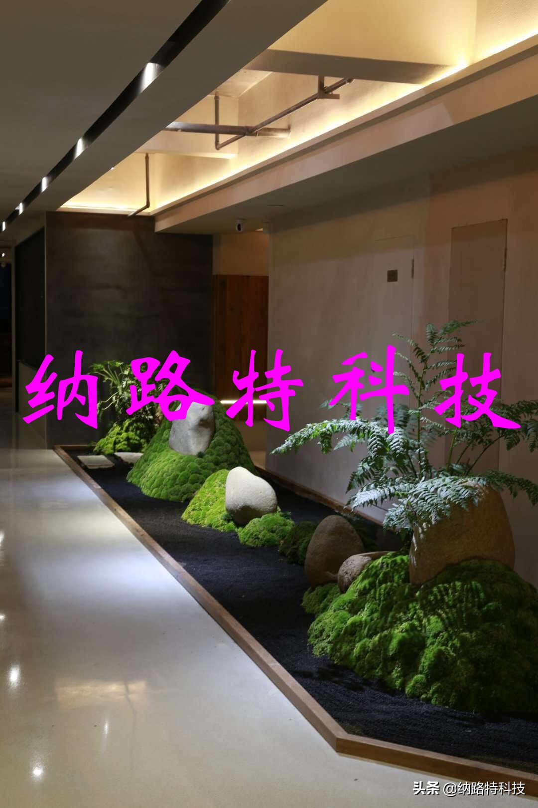 硅藻泥加盟店大全,甘肃大品牌硅藻泥加盟哪个品牌好