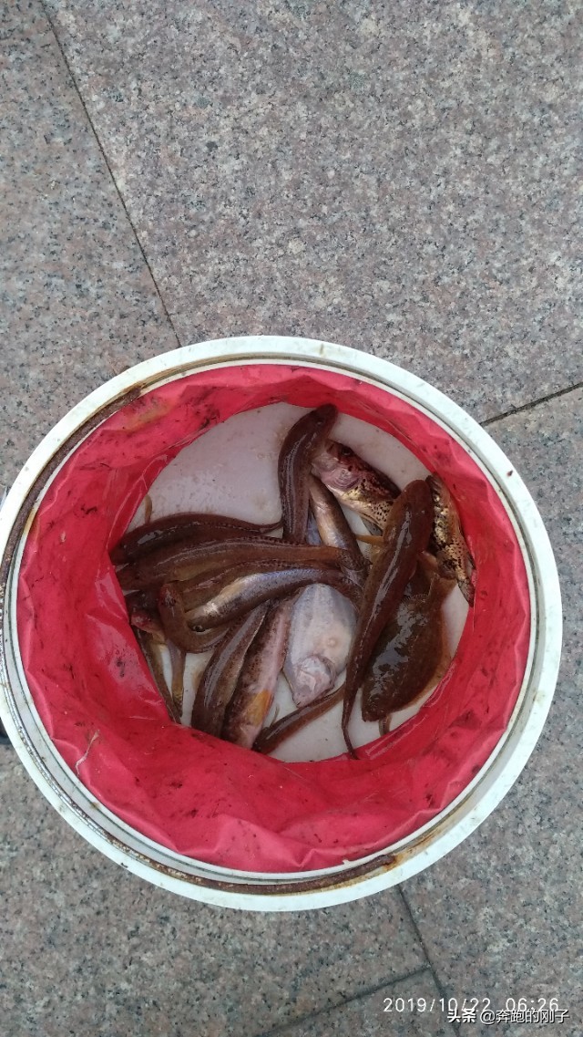 备战南京马拉松5—烟台滨海路畅跑15公里海钓黄海明珠合肥号