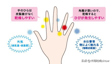 李若彤胳膊训练方法,做护手教程