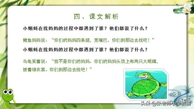 小蝌蚪找妈妈课程分享ppt,小蝌蚪找妈妈ppt教师讲解视频