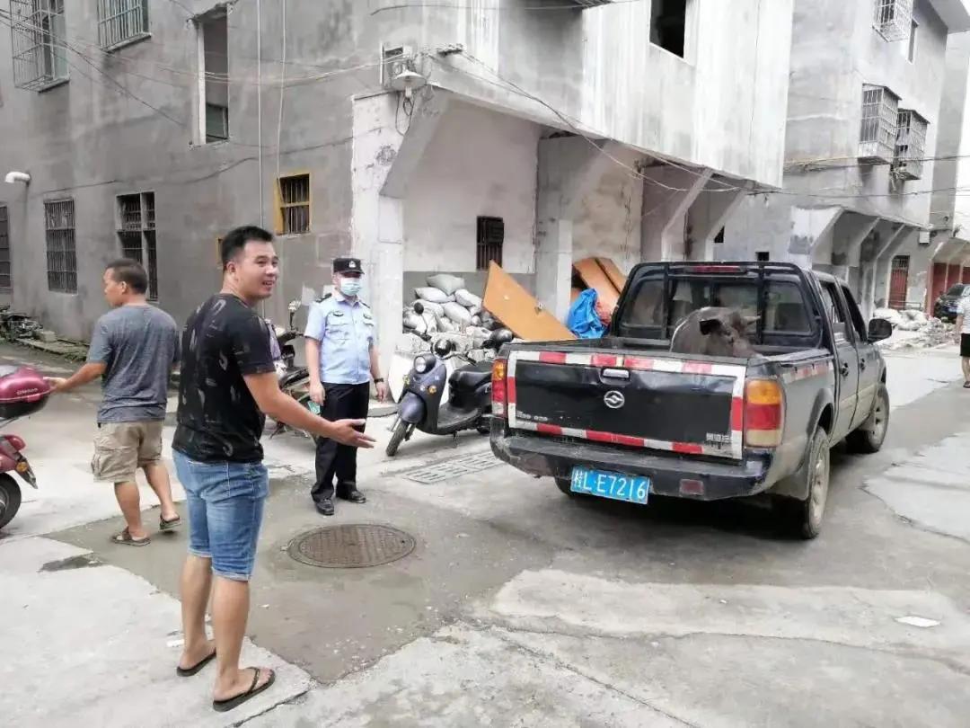 公安机关经济领域打击防范工作,广西公安开展夜间巡逻防控工作