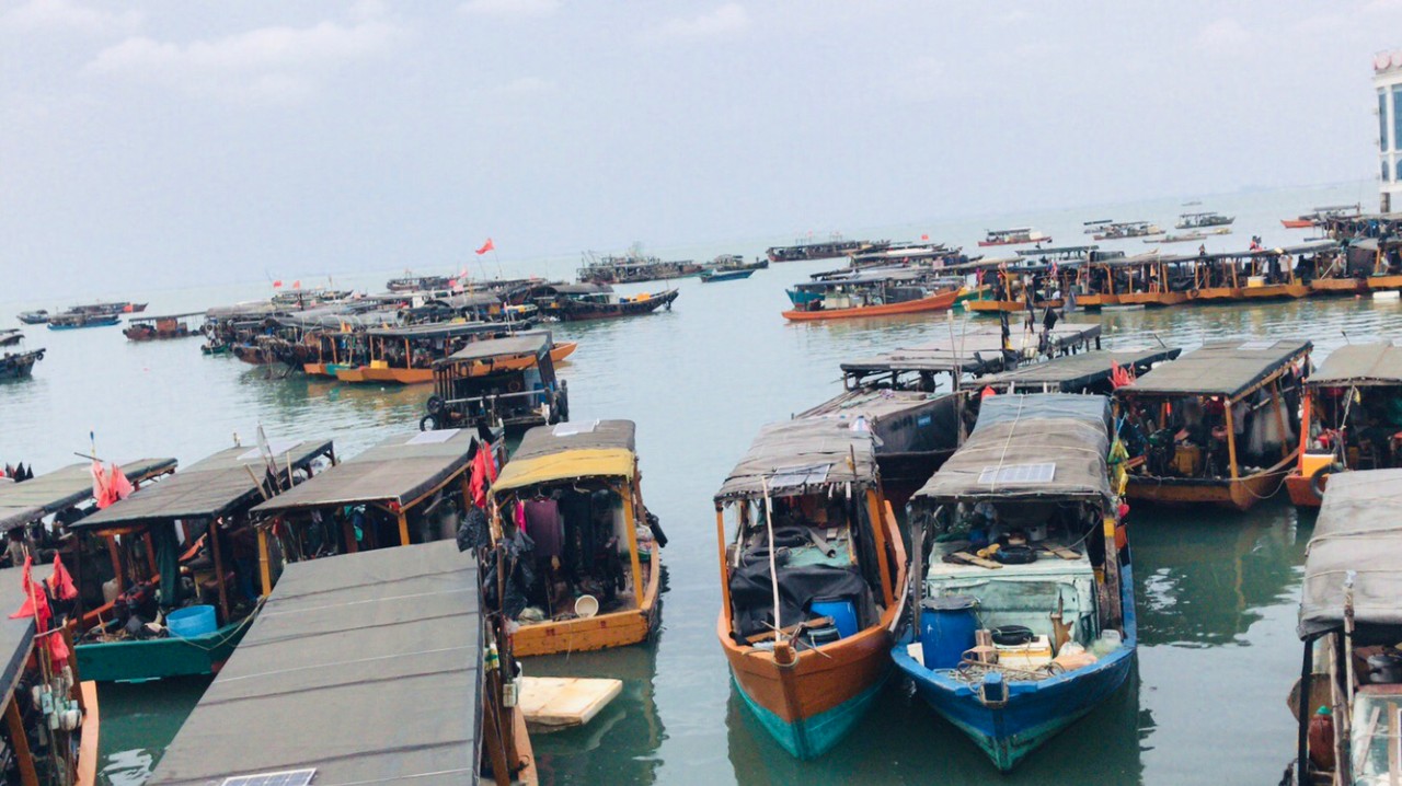 北海非法高息集资最新消息,北海非法集资案最新情况