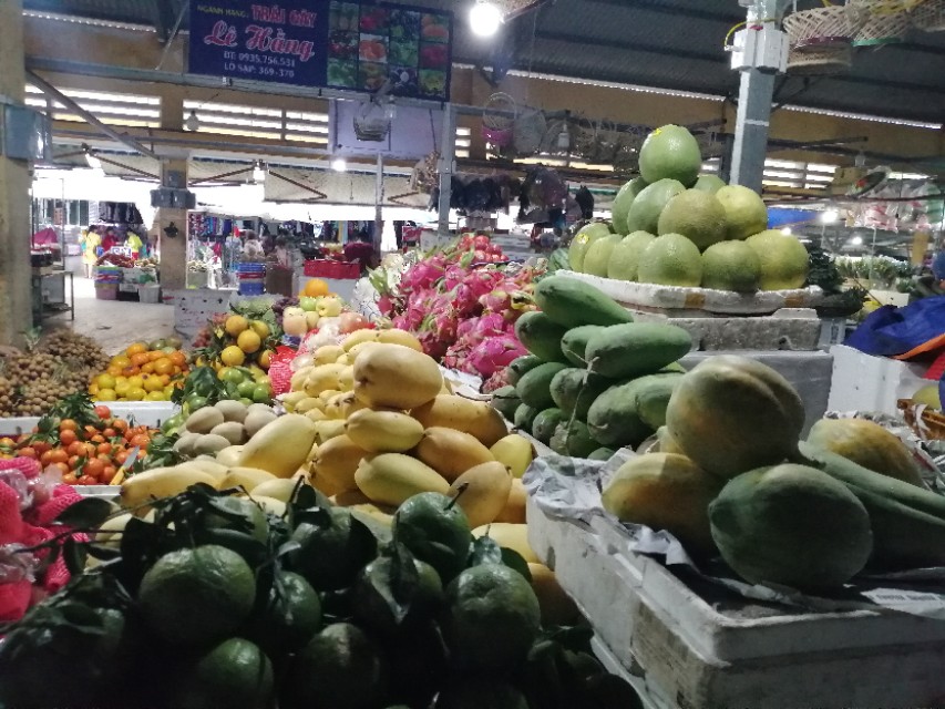 站在楼顶看芽庄全景,站在国门看越南