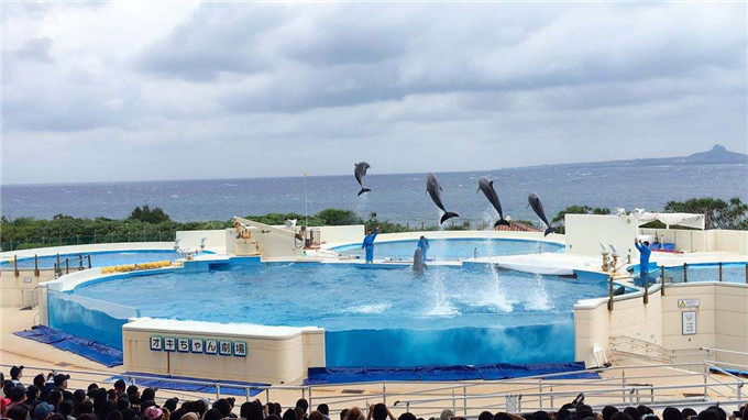 日本亲子游,带娃游日本迪士尼攻略