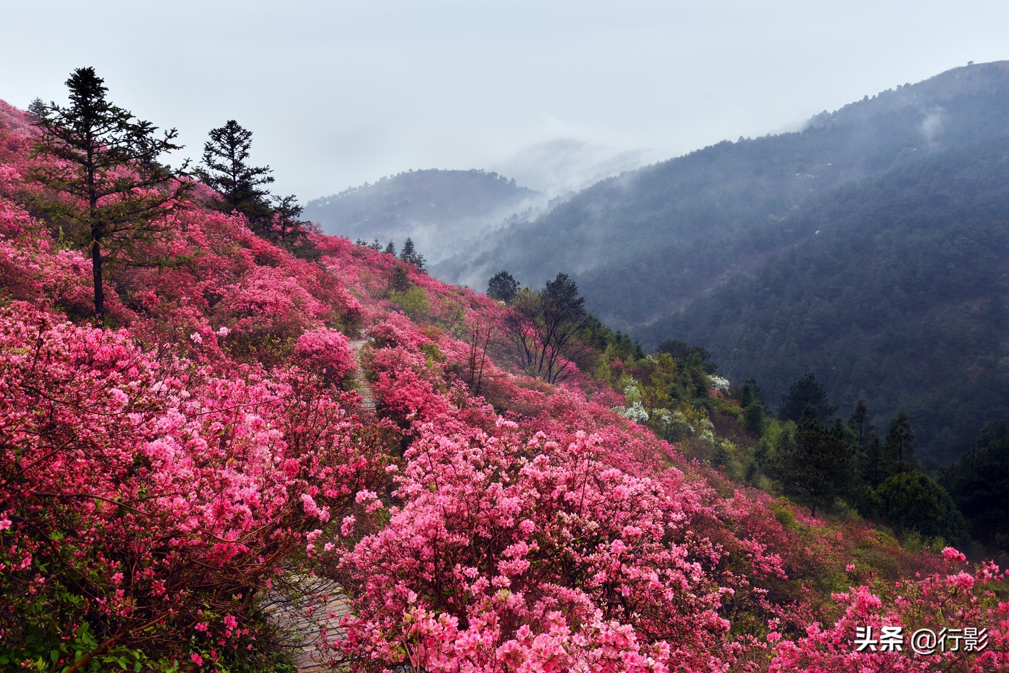 武汉云雾山游玩攻略,安陆云雾山和黄陂云雾山