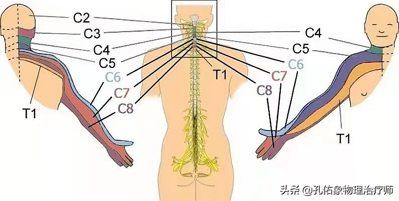 肩膀疼是肩周炎吗还是其他原因,肩周炎肩膀疼痛怎么锻炼