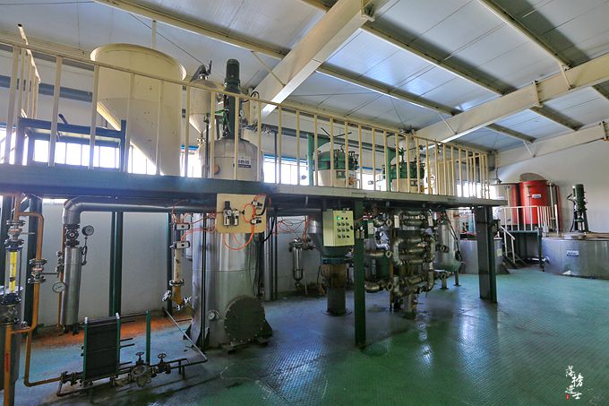 赞皇核桃树苗圃基地,河北野山上哪里有野生核桃树