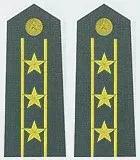 军官军衔和级别的对应关系,中国军官军衔等级一览表