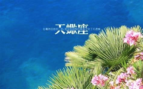 智计无双，无法驾驭，只能俯首称臣的星座：一呼百应，真正的大佬