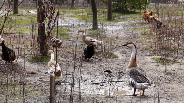 李时珍未解之谜,李时珍历史记载