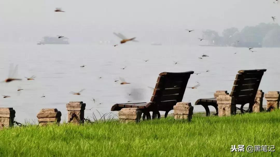 大事发生前有什么预兆,连续两把梳子断了什么征兆