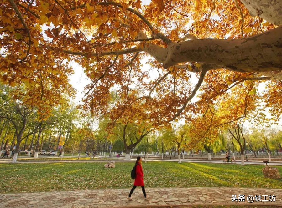 “滚烫”的南开大学，实力彪悍，一直是中国科研顶峰上的“巨人”