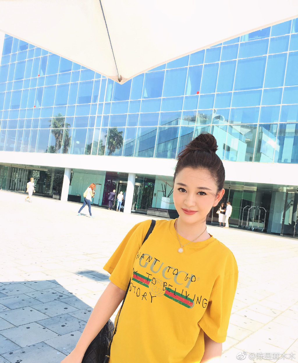 陈昱霖的奢侈品,陈昱霖同款珠宝包