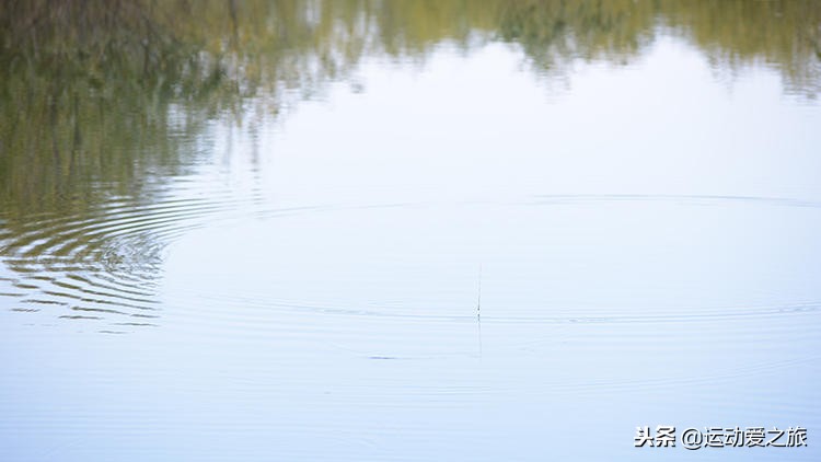 野钓鲫鱼双钩在水下的最佳状态,钓鲫鱼双钩在水底什么状态最好