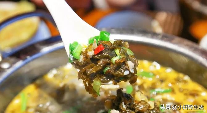 雨后山区有什么野菜,田间野草能吃的野菜